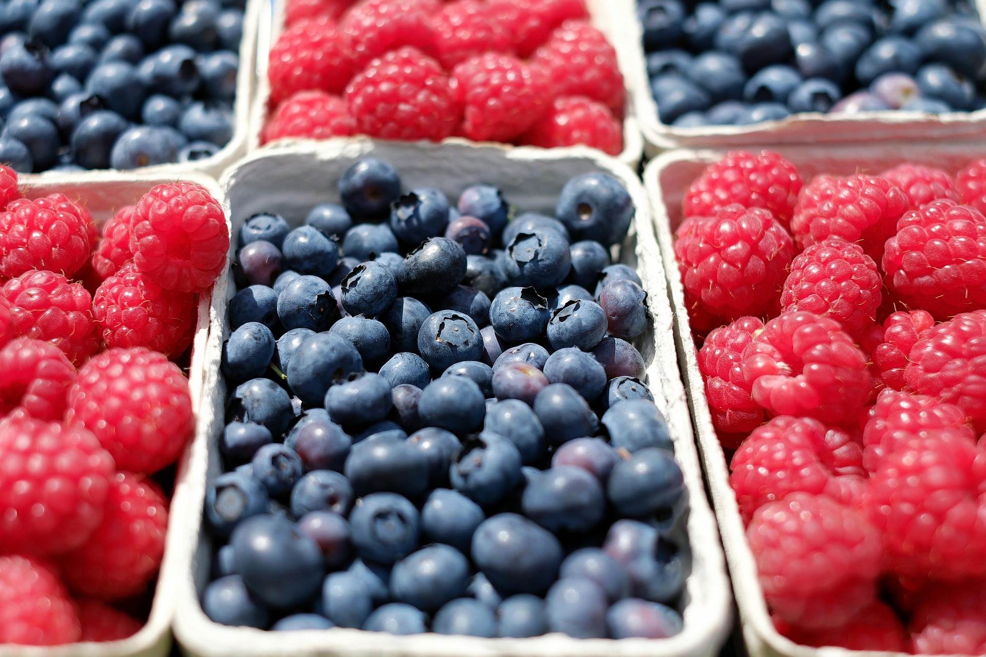 Punnets of blueberries and rasberries 